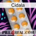 Cidala levitra1